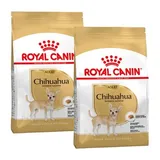 Chihuahua Adulte Croquettes Chien