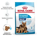 Maxi Starter Croquettes Chien