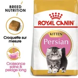Persian Chaton Croquettes Chat