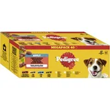 Nourriture humide pour chien adulte, multipack, sélection mixte, en gelée