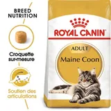 Maine Coon Adulte Croquettes Chat