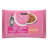 Sachets pour Chaton au Saumon et aux Carottes