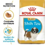 BHN Shih Tzu Puppy