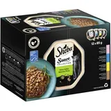 Multipack Sauce Collection Fine variété MSC