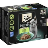Multipack Kitten en sauce et fine variété au saumon, au poulet MSC