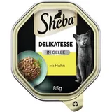 Délicatesse en gelée Poulet