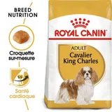 Cavalier King Charles Adulte Croquettes Chien