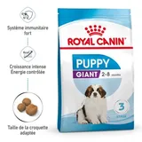 Giant Chiot Croquettes Chien