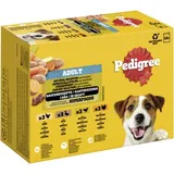 Nourriture humide pour chien adulte, Multipack, Sélection de volaille, en sauce