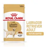 Labrador Retriever Adult