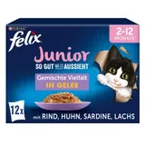 Aussi bon que beau Junior