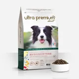 Croquettes Sans Céréales au Saumon frais pour chien adulte toutes tailles