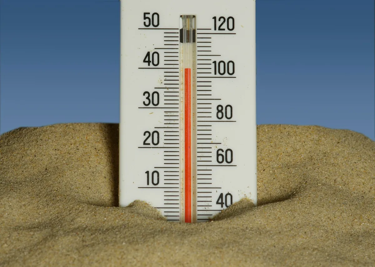Canicule : comment adapter l’alimentation de son chien et de son chat ?